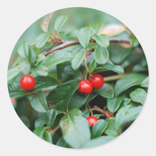 Rond Sticker d'été (Devant)