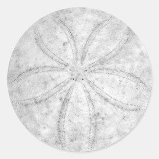 Rond Sticker Dollar De Sable