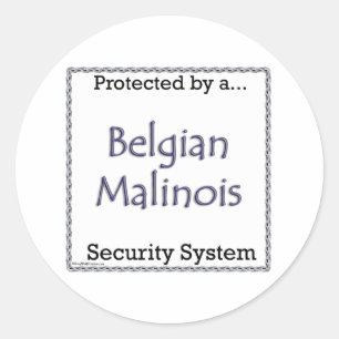 Rond Sticker du système de sécurité belge malinois