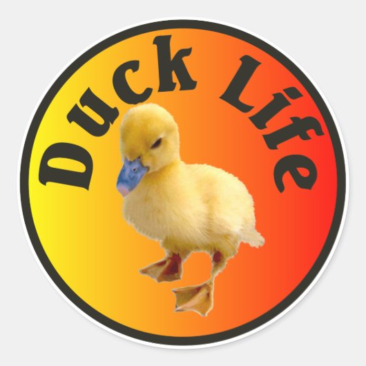 Rond Sticker Duck Life (Devant)