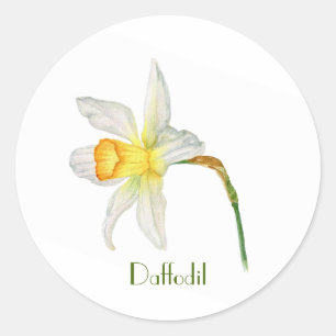 Rond Sticker en aquarelle botanique jaune blanc