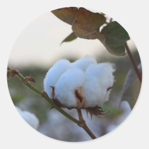 Rond Sticker en coton