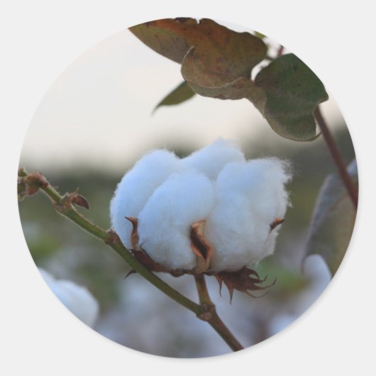 Rond Sticker en coton (Devant)