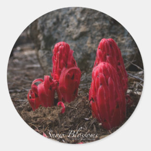Rond Sticker en fleurs de neige