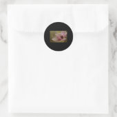 Rond Sticker en floraison de Rêves rose doux (Sac)