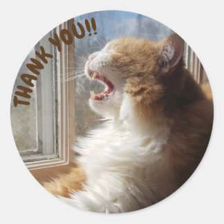 Rond Sticker en Merci de chat Diego