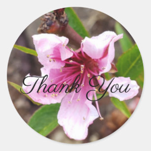 Rond Sticker en Merci de fleurs roses