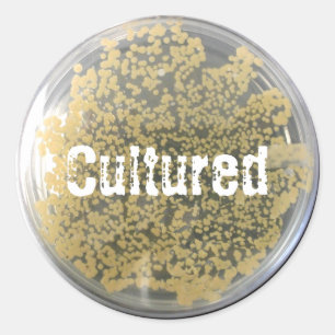 Rond Sticker en plaque de culture bactérienne
