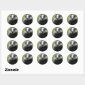 Rond Sticker européen Badger (Feuille)