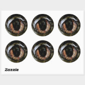 Rond Sticker Eyeball (Feuille)