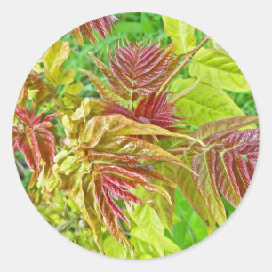 Rond Sticker Feuille de Sumac Spring