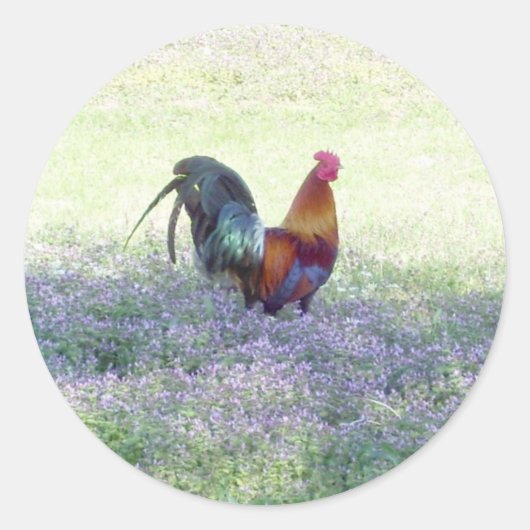 Rond Sticker Fierté en plumes (Devant)