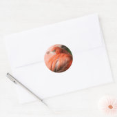 Rond Sticker Flamant rose (Enveloppe)