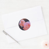 Rond Sticker Flamant rose (Enveloppe)