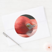 Rond Sticker Flamant rose (Enveloppe)