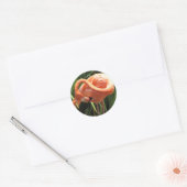 Rond Sticker Flamant rose tropical (Enveloppe)