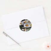 Rond Sticker fleur sauvage (Enveloppe)
