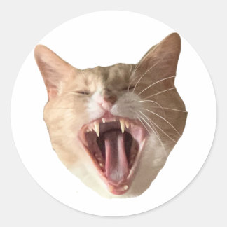 Rond Sticker Floyd - Avec Bouche Ouverte!