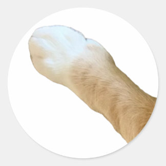 Rond Sticker Floyd - Paw !