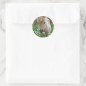 Rond Sticker Foal Smelling Daisers (Sac)