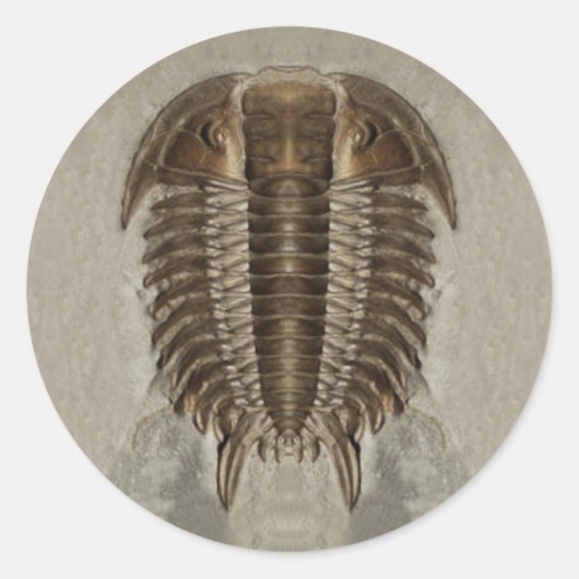 Rond Sticker Fossil Trilobite (Devant)