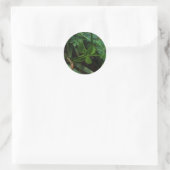 Rond Sticker Four Leaf Clover (Sac)