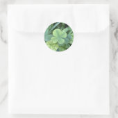 Rond Sticker four leaf clover (Sac)