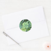 Rond Sticker four leaf clover (Enveloppe)