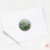 Rond Sticker Four Leaf Clovers (Enveloppe)
