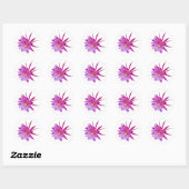 Rond Sticker Fruit Dragon (Feuille)