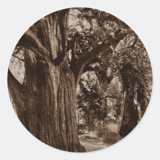 Rond Sticker Généalogie Churchill Old Yew Arbre Pierres (Devant)