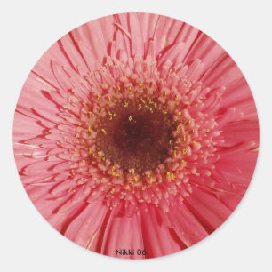 Rond Sticker Gerbera Daisy