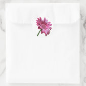 Rond Sticker Gerbera Daisy (Sac)