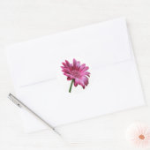 Rond Sticker Gerbera Daisy (Enveloppe)