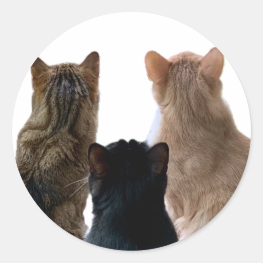 Rond Sticker Geronimo, Henri & Floyd (Devant)