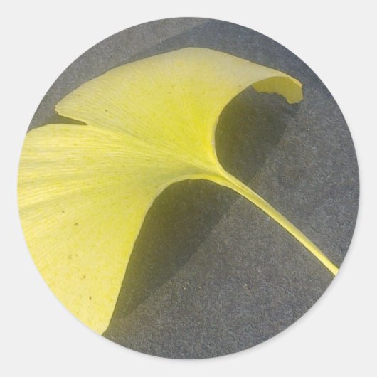 Rond Sticker Ginkgo Biloba Leaf (Devant)