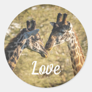 Rond Sticker Giraffs in Love
