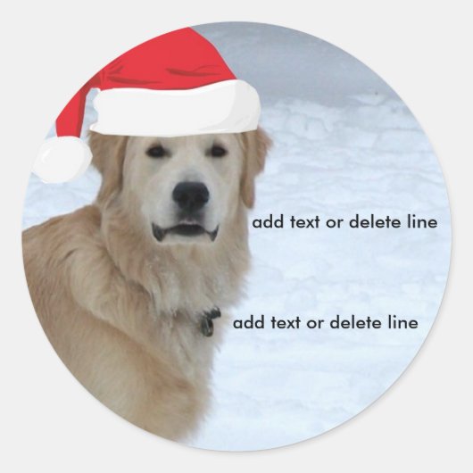 Rond Sticker Golden Retriever Santa Hat (Devant)