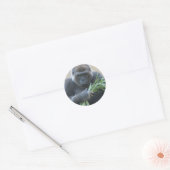 Rond Sticker Gorilla Silverback (Enveloppe)