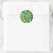 Rond Sticker Grasshopper (Sac)