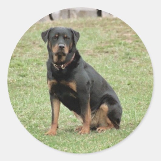 Rond Sticker Heidi (Devant)