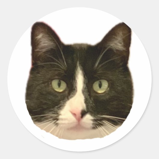 Rond Sticker Henri (Devant)