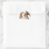 Rond Sticker Holland Lop (Sac)