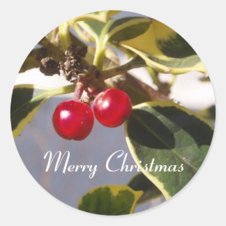 Rond Sticker Holly & Berry Round