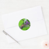 Rond Sticker Hummer Moth Vervain (Enveloppe)