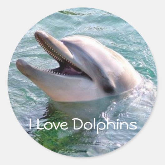 Rond Sticker I Love Dophins (Devant)