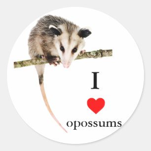 Rond Sticker I Love Opossum