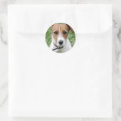 Rond Sticker Jack Russell Terrier (Sac)