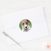 Rond Sticker Jack Russell Terrier (Enveloppe)
