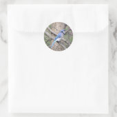 Rond Sticker Jay Bleu (Sac)